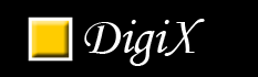 DigiX